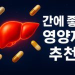 간에 좋은 영양제 추천: GGT 수치 낮추고 간 건강 지키는 법